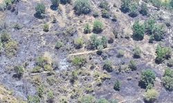 Forest fire breaks out in Diyarbakır