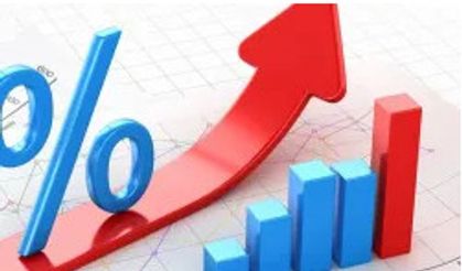 Discrepancy Between TÜİK and ENAG Inflation Data Widens