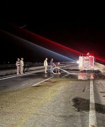 Terrible accident in Ağrı: 3 injured, 55 sheep killed