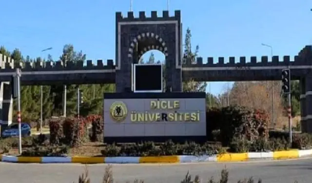 Dicle University will offer Kurdish language bachelor programmes